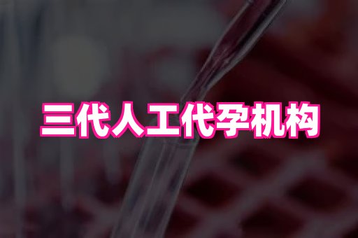 国际助孕网 3