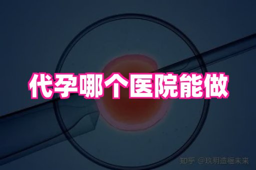 国际助孕网 4